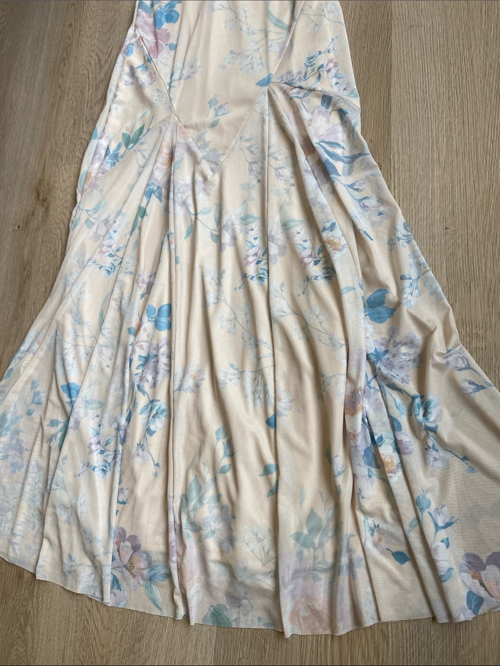 Eliane Rose Floral Mesh Maxi Dress XS NWT Romantic Drop Waist - Picture 7 of 12